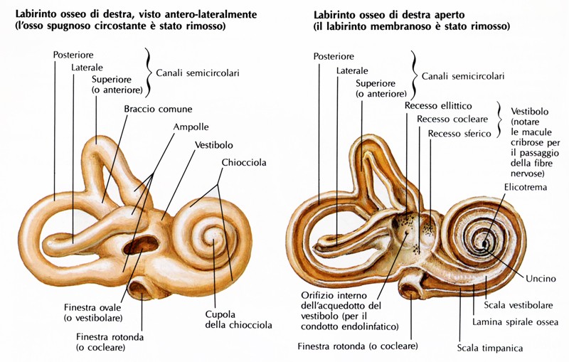 Acquedotto del vestibolo