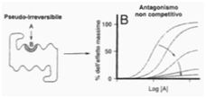 Antagonismo con legame pseudoirreversibile