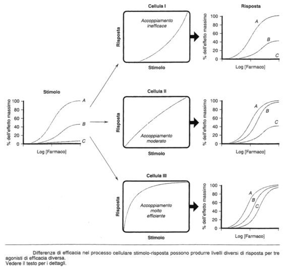 Differenze di efficacia di un farmaco